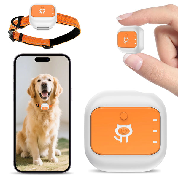 PawTrace Smart Tracker