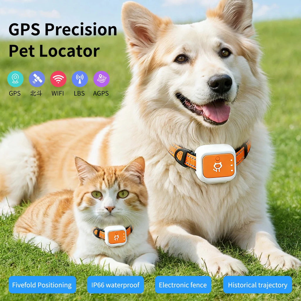 PawTrace Smart Tracker
