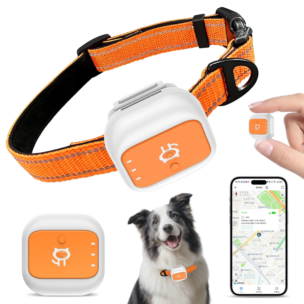PawTrace Smart Tracker